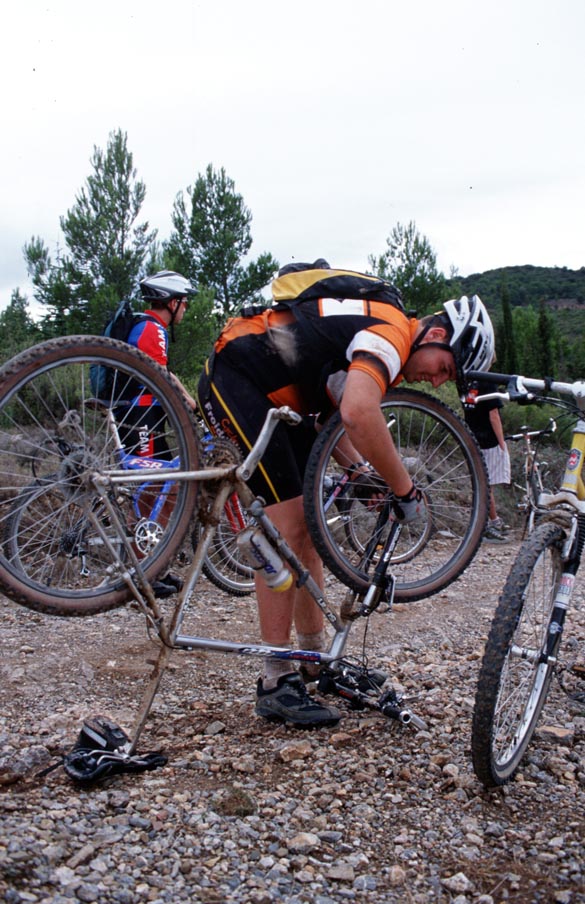 Agrandir