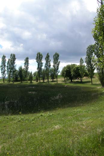 DSCN0295