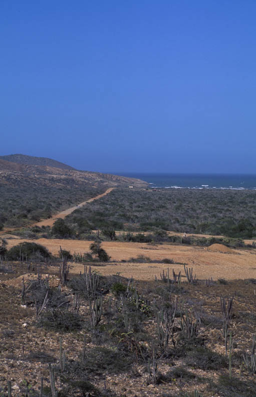 Venezuela_A26
